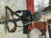 Cenon 700d dslr camera